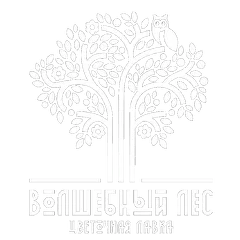 Волшебный лес — цветочная лавка